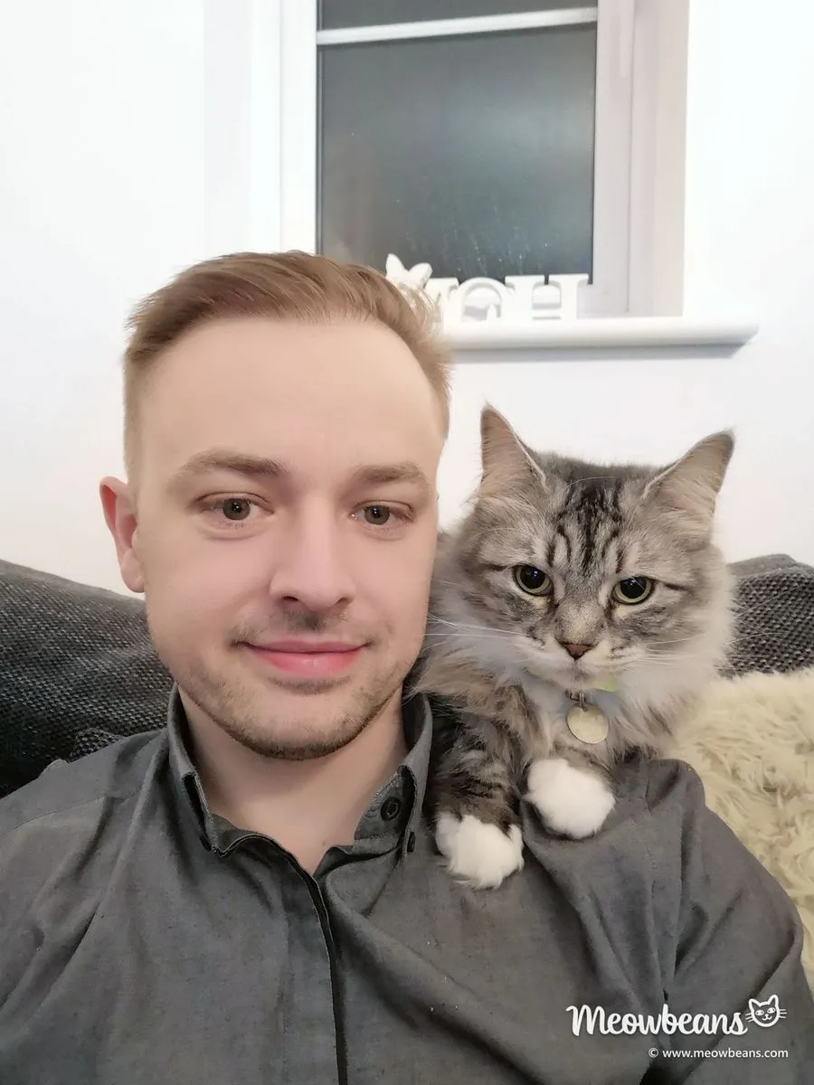 John with Bean, his long-haired silver tabby, perched on his shoulder